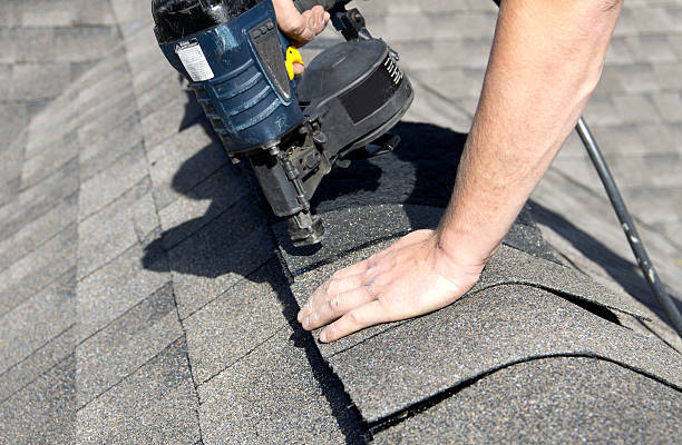 Best Roof Moss and Algae Removal  in Sans Souci, SC